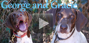 George and Gracie