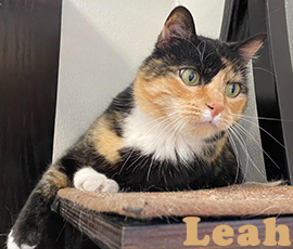 Leah