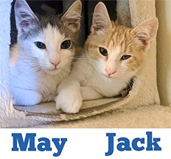 May and Jack