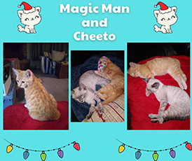Magic Man and Cheeto